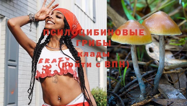 бошки Абаза