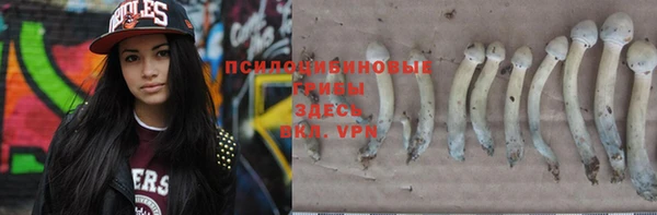 дмт Абинск