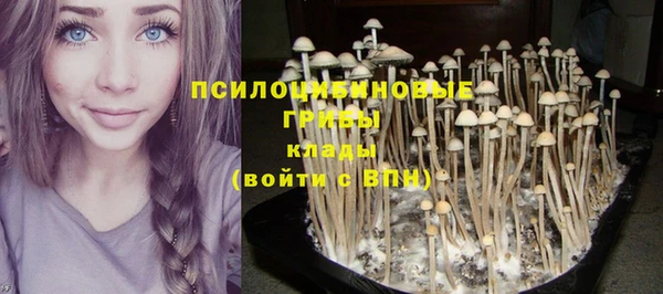 дмт Абинск
