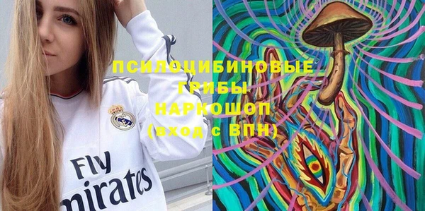 кокс Алексин