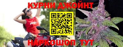 мдпв Аргун
