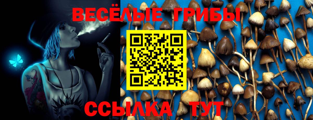 Галлюциногенные грибы Cubensis  цены   Галлюциногенные грибы GOLDEN TEACHER  Великий Новгород  Вход с VPN 