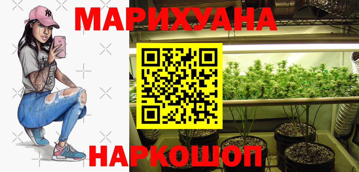 Великий Новгород  Канабис семена  Каннабис сатива  Бошки Шишки Bruce Banner  Вход с VPN  Бошки Шишки SATIVA & INDICA 